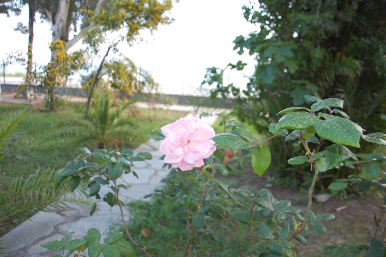 Villa Miranda Nikiti  Luaran gambar